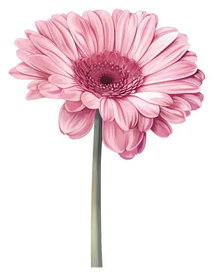 Pink Flower in Bloom