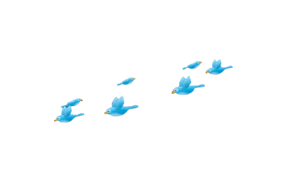 Flock of Blue Birds Flying