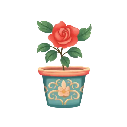 Red Rose Growing in Beautiful Pot