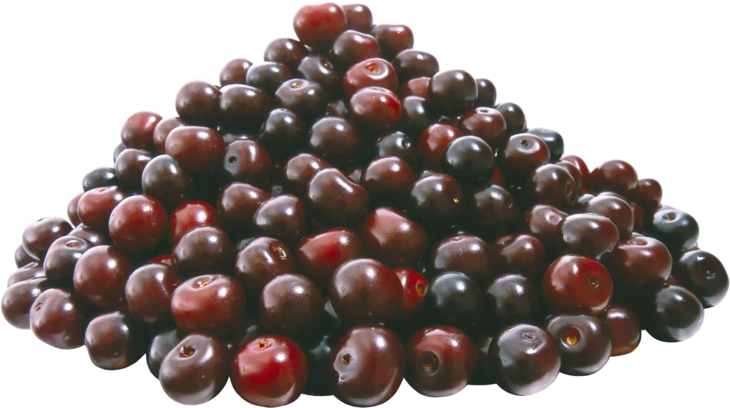 Pile of Dark Berries Illustration