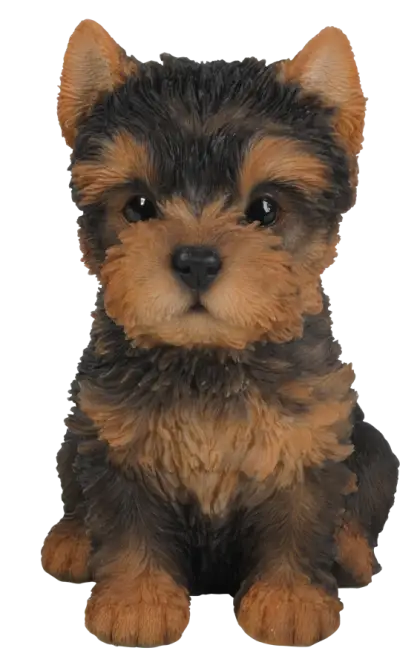 Yorkshire Terrier Figurine with Realistic Fur Texture