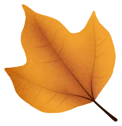 Golden Orange Leaf Illustration