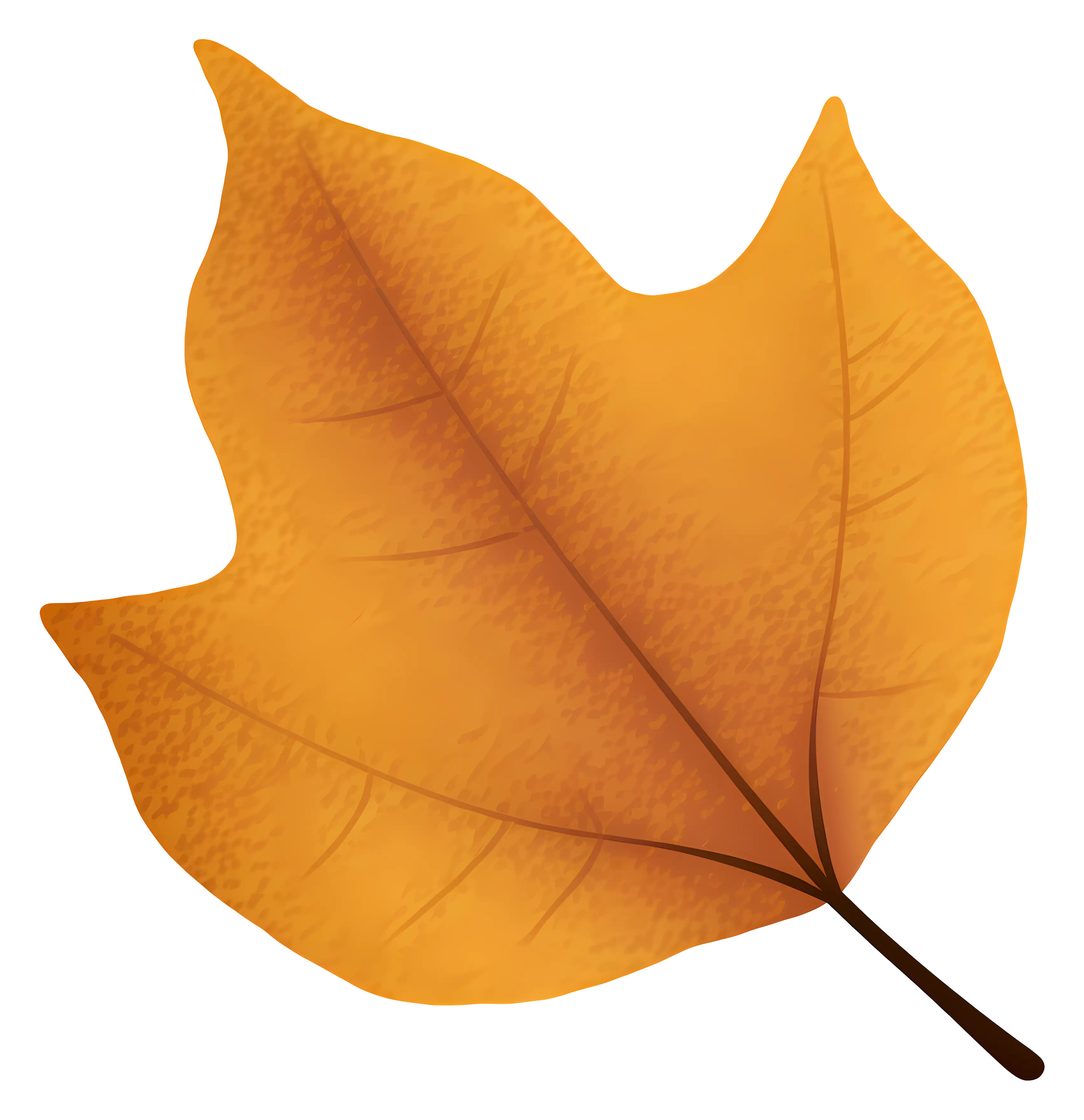 Golden Orange Leaf Illustration