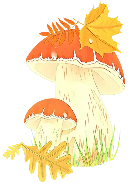 Autumn Mushrooms with Fall Leaves Illustration