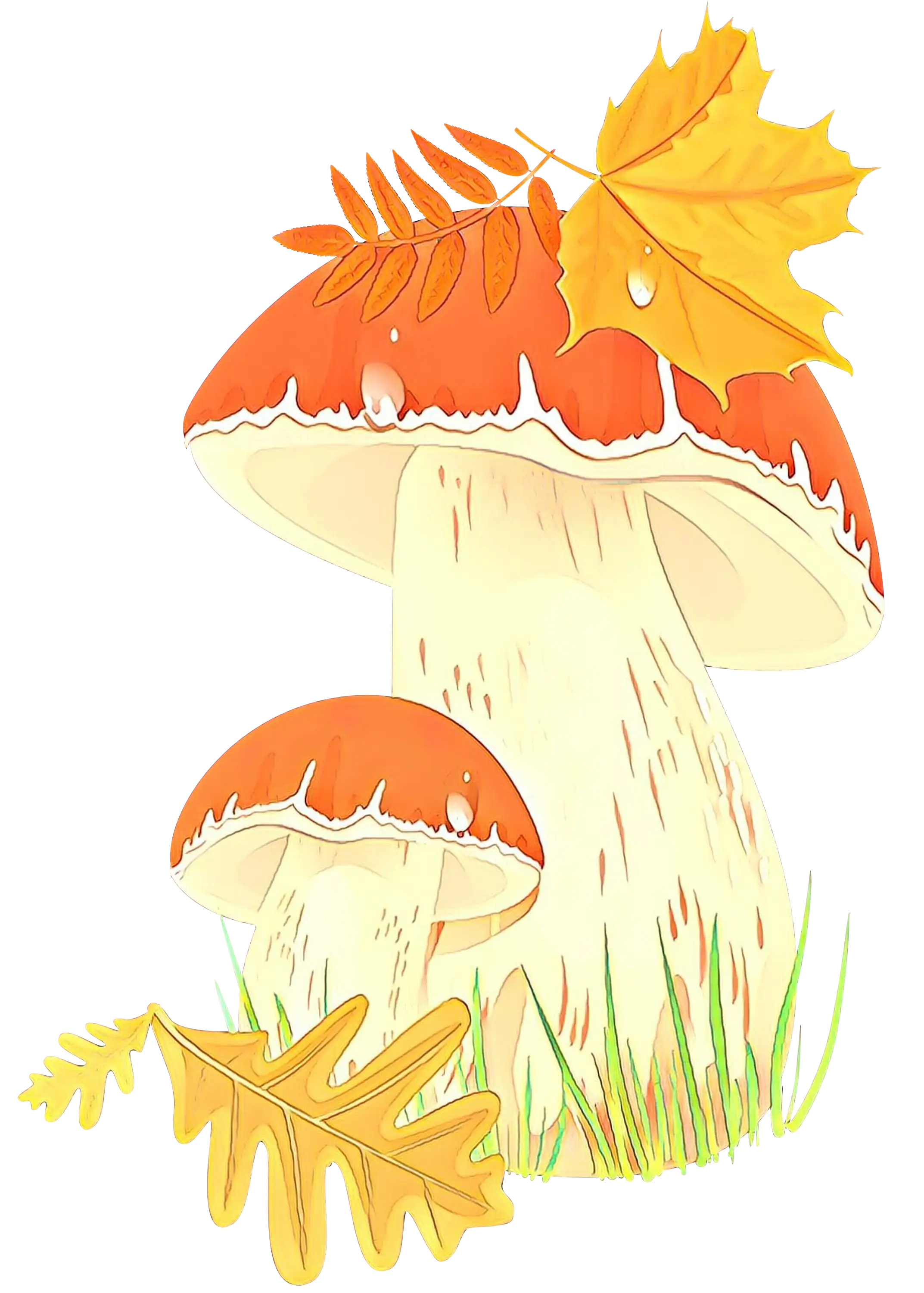 Autumn Mushrooms with Fall Leaves Illustration