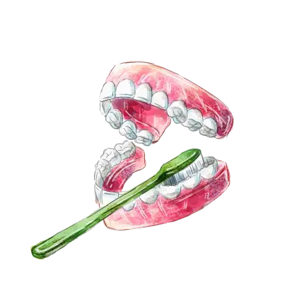 Dentures and Toothbrush for Oral Care