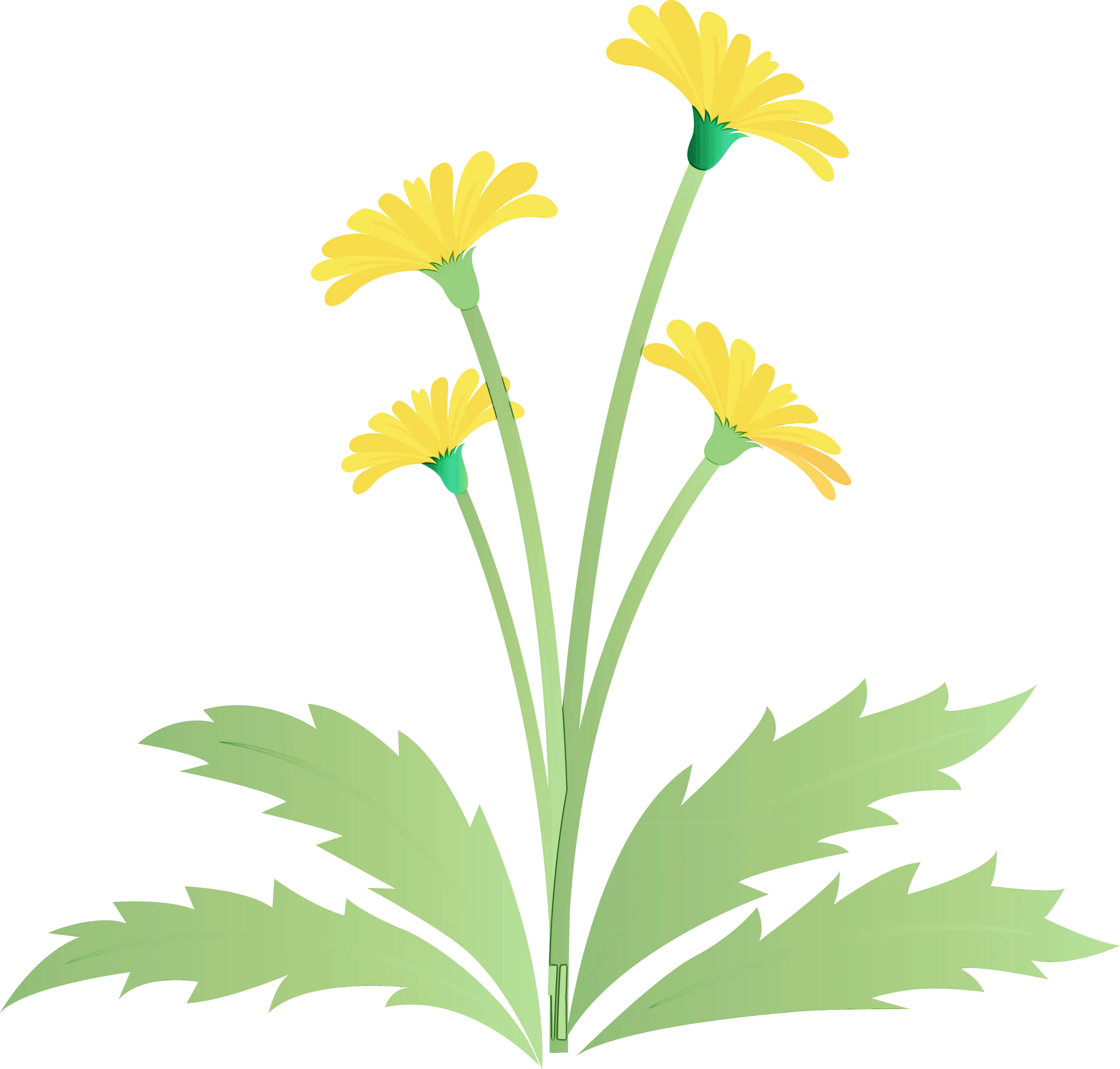 Yellow Flowers with Green Leaves Illustration