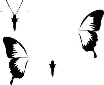 Black and White Butterfly Silhouettes