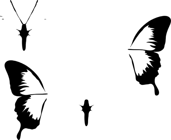 Black and White Butterfly Silhouettes