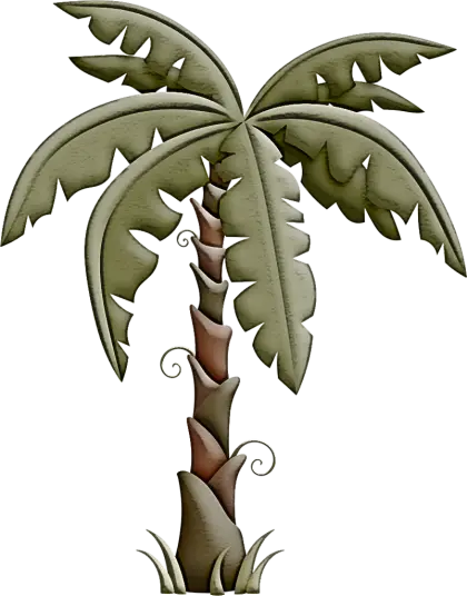 Tropical Palm Tree Illustration