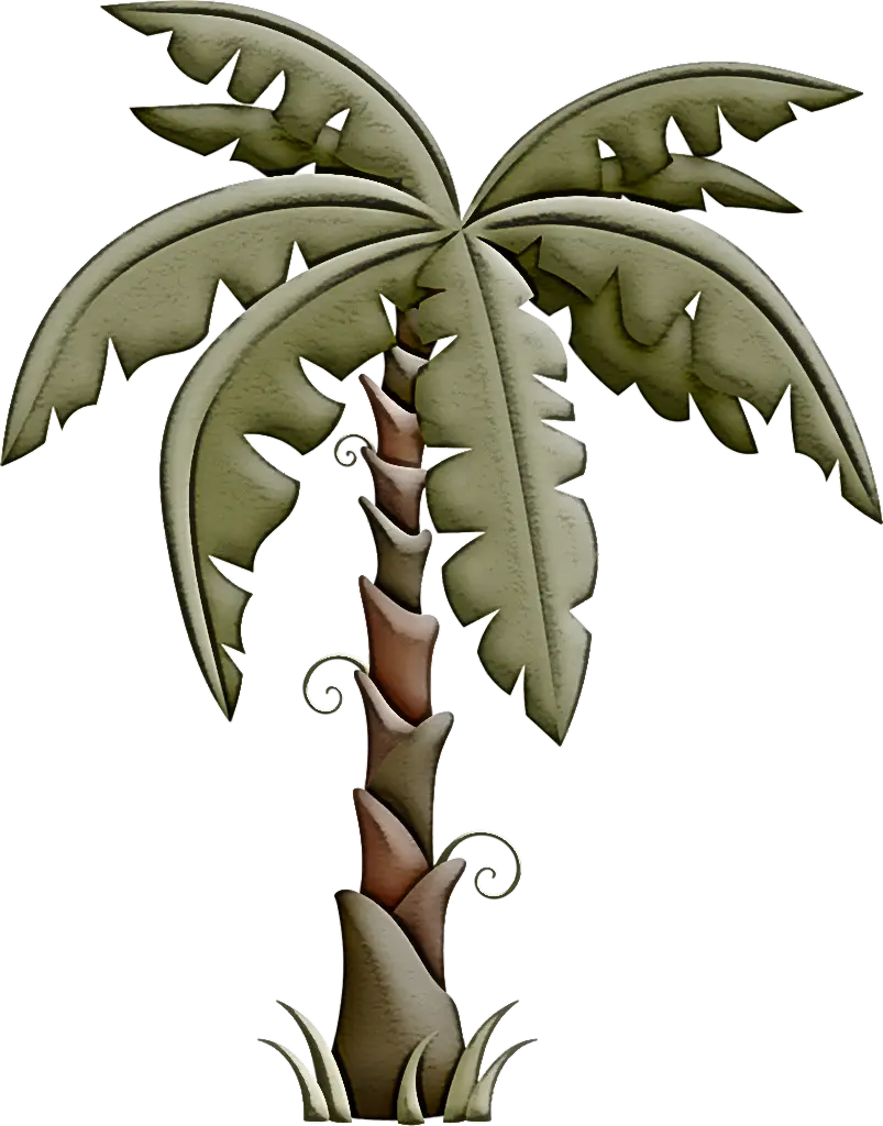 Tropical Palm Tree Illustration