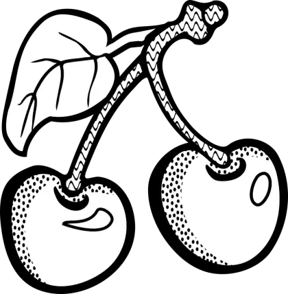 Black and White Cherries Illustration