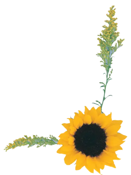 Bright Yellow Sunflower and Floral Design
