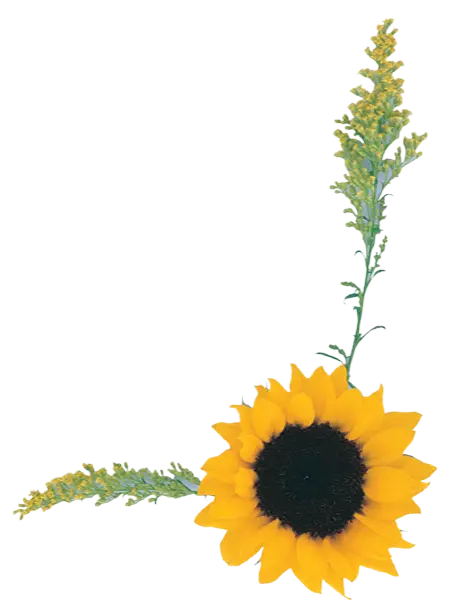 Bright Yellow Sunflower and Floral Design