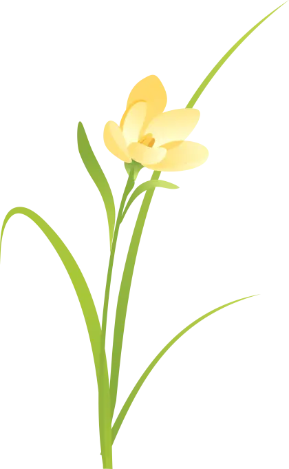 Yellow Flower with Long Green Leaves