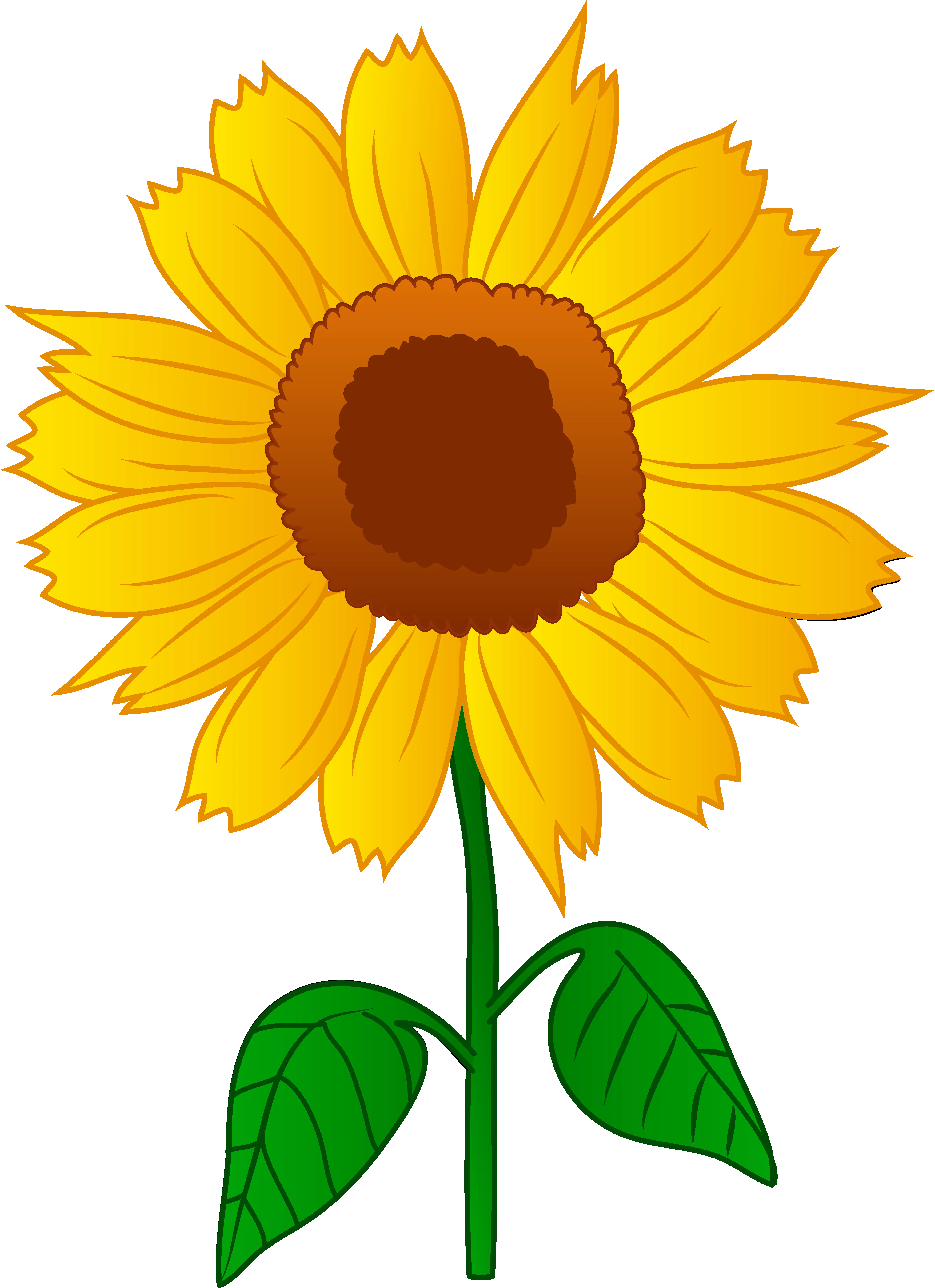 Yellow Sunflower with Green Leaves