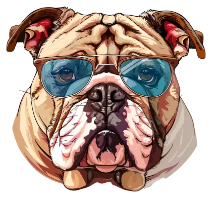 Cool bulldog with sunglasses