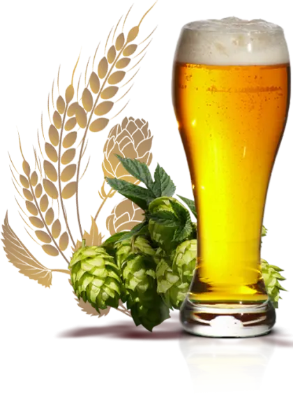 Beer Glass with Hops and Barley