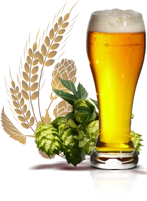 Beer Glass with Hops and Barley