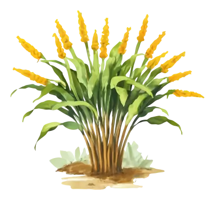 Yellow Blooming Plant with Green Leaves