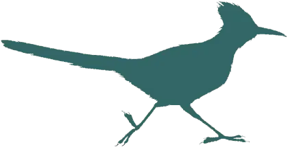 Roadrunner Bird Silhouette Logo