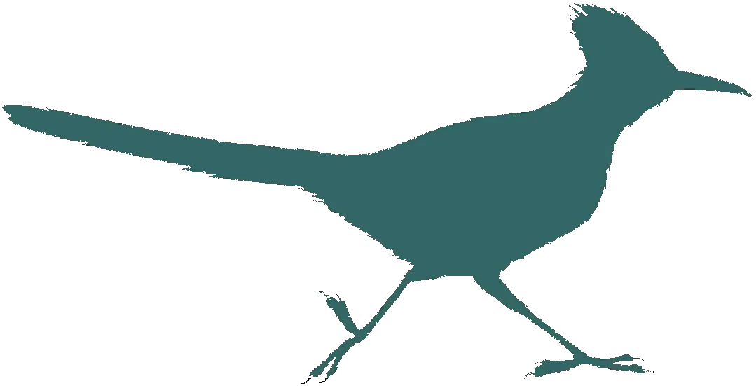 Roadrunner Bird Silhouette Logo
