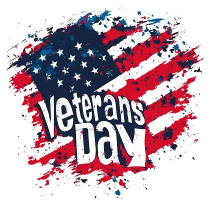 Veterans Day Artistic Flag Design