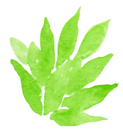 Green Watercolor Leaves