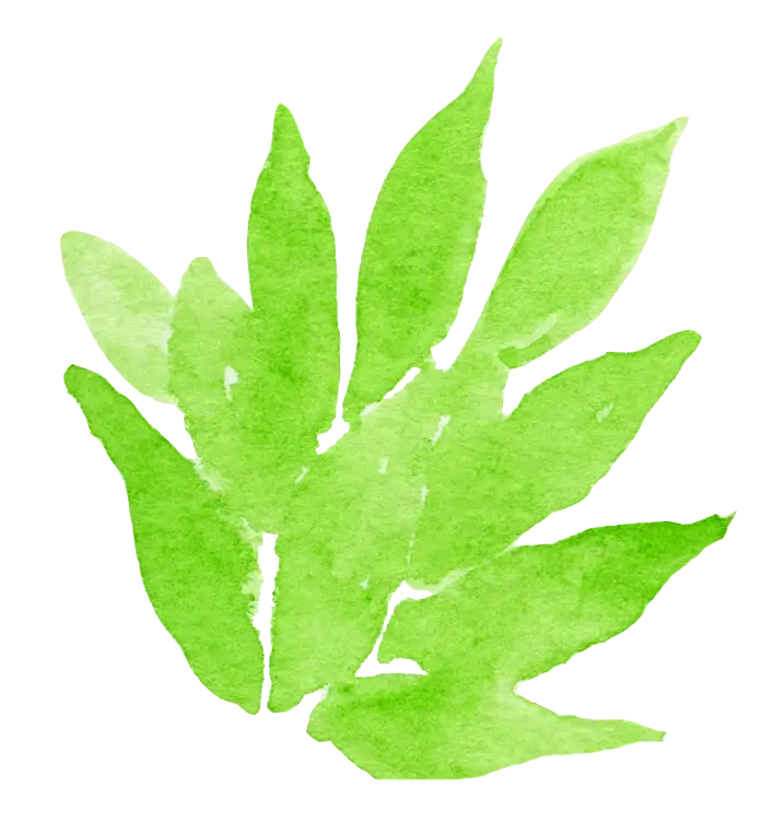Green Watercolor Leaves