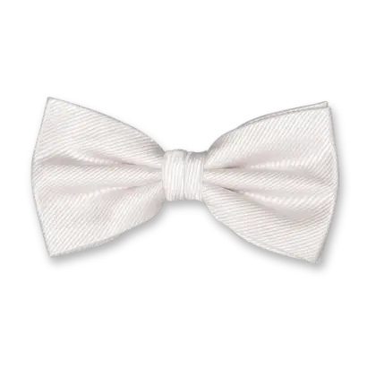 Elegant White Bow Tie