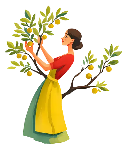 Woman Picking Fruit from Tree