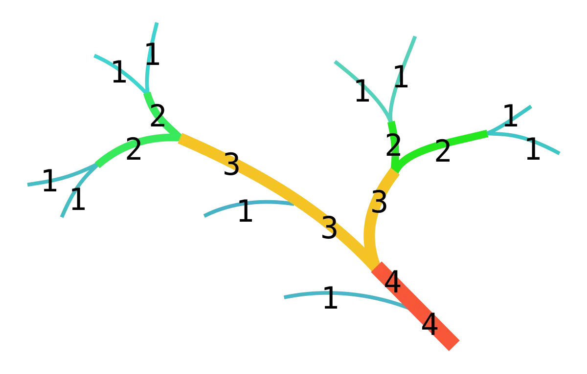 Tree Diagram with Numbers