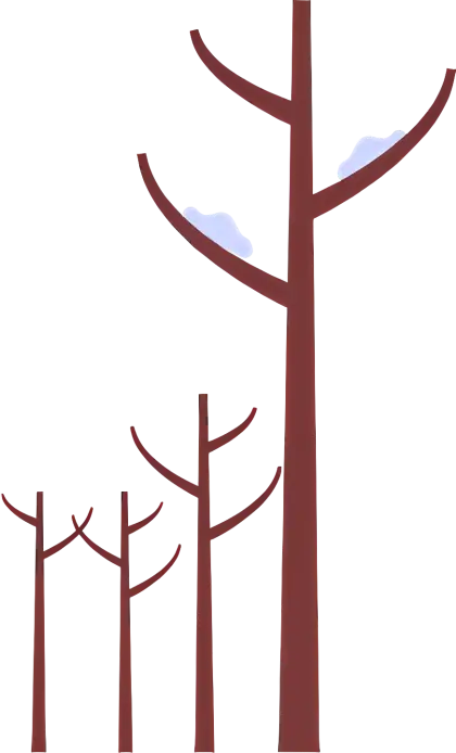 Bare Trees in Winter