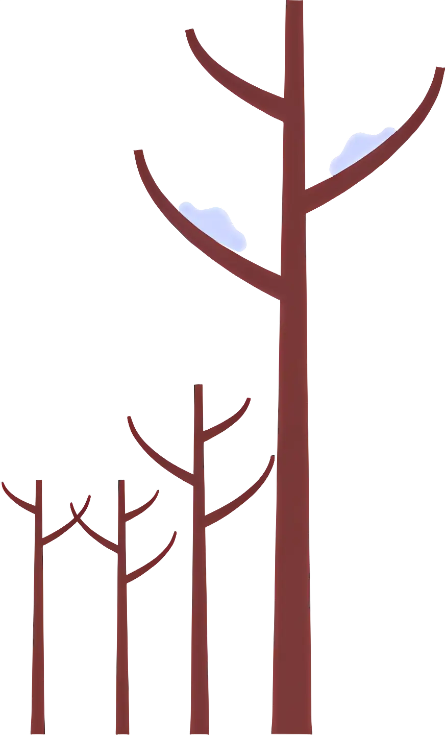 Bare Trees in Winter