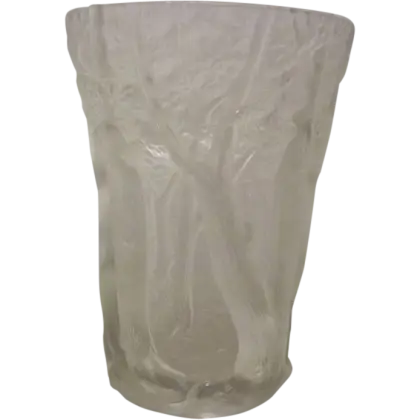 Transparent Plastic Cup