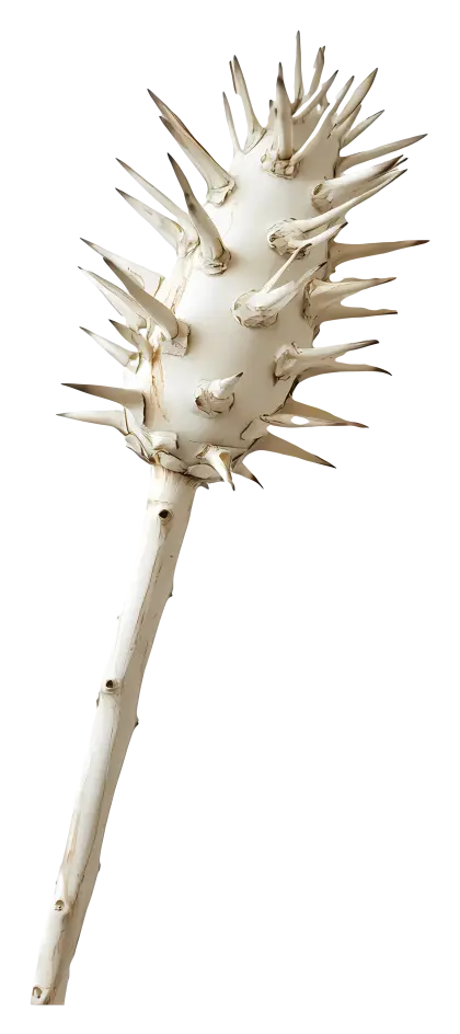 Spiky White Stick
