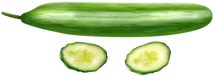 Fresh Green Cucumber for Healthy Eating