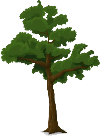 Green Tree Illustration