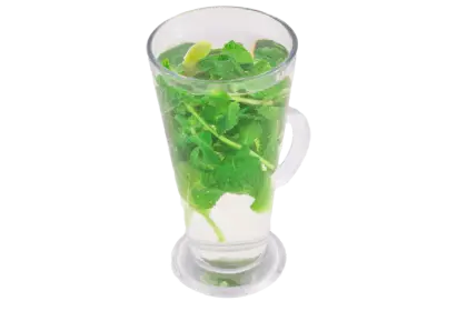 Glass of Herbal Drink with Mint Leaves