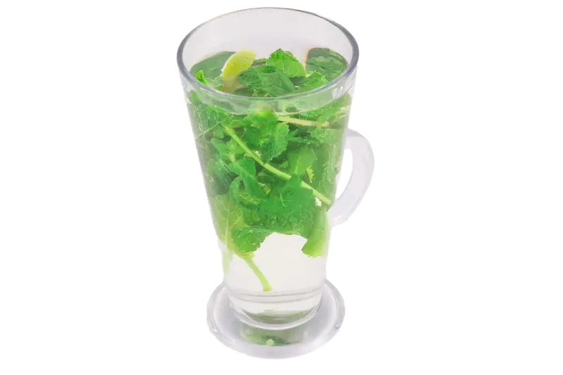 Glass of Herbal Drink with Mint Leaves