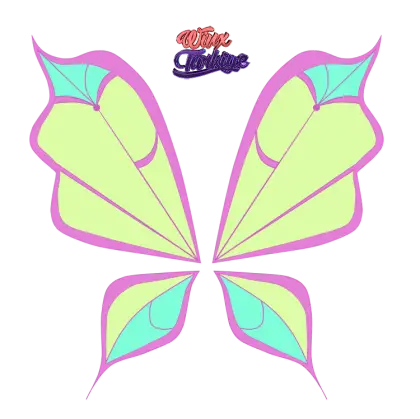 Colorful Butterfly Wings Illustration