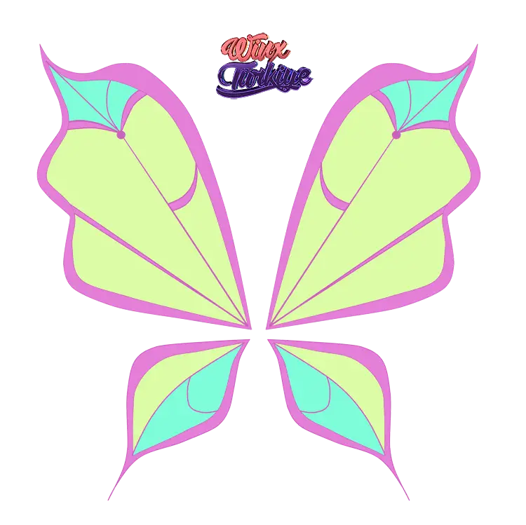 Colorful Butterfly Wings Illustration