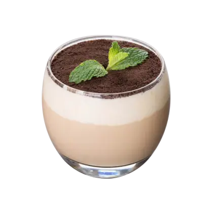 Delicious Chocolate Mint Dessert