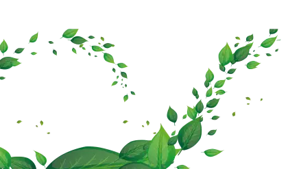 Green Leaves and Foliage