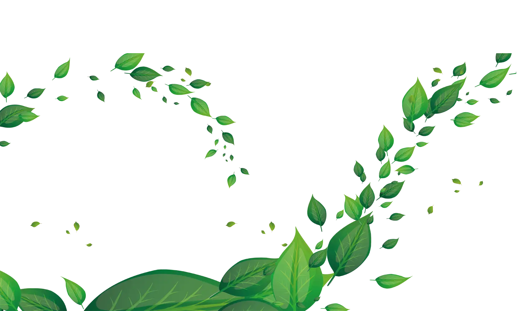 Green Leaves and Foliage
