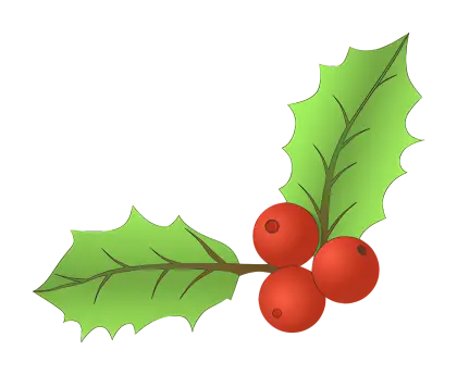 Holly Leaves and Berries for Festive Decoration