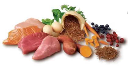 Assorted Fresh Food Ingredients
