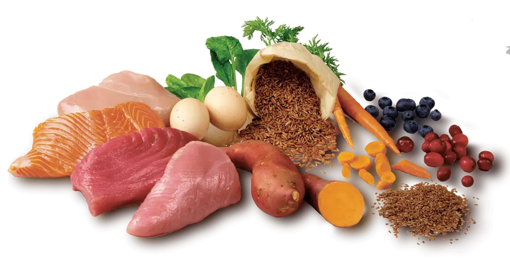 Assorted Fresh Food Ingredients
