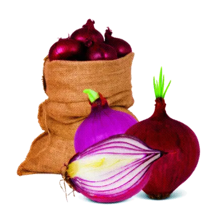 Onion Sack with Fresh Onions Illustration