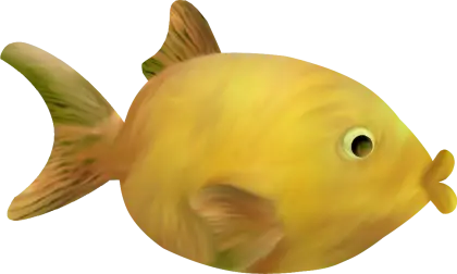 Yellow Fish Illustration Design